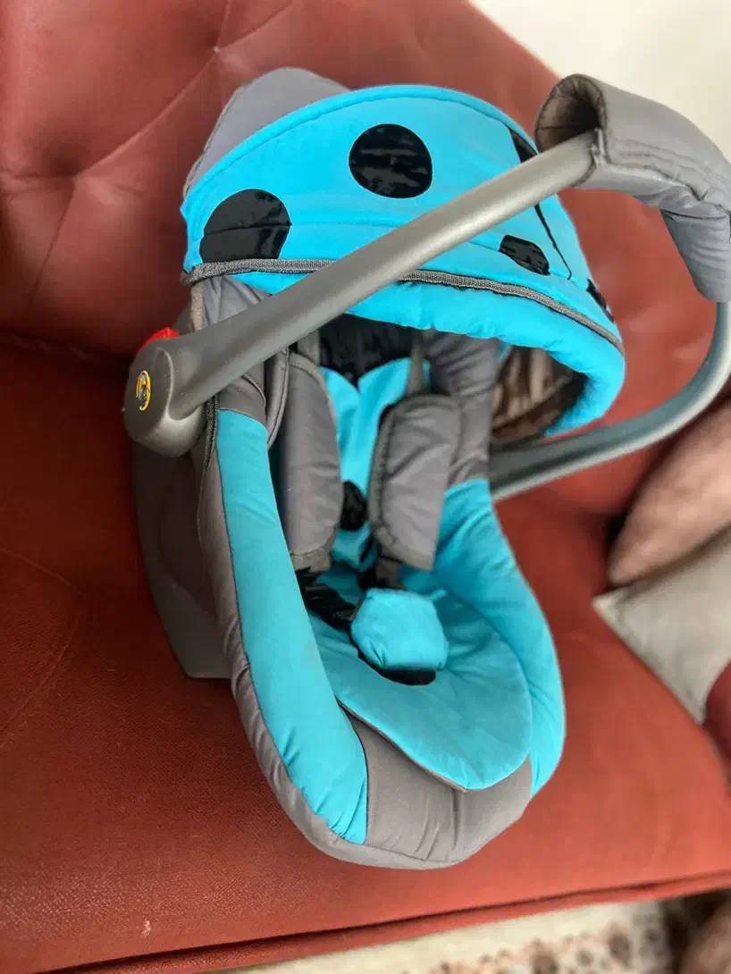 کریر نوزاد|کالسکه و لوازم جانبی|شاندیز, |دیوار