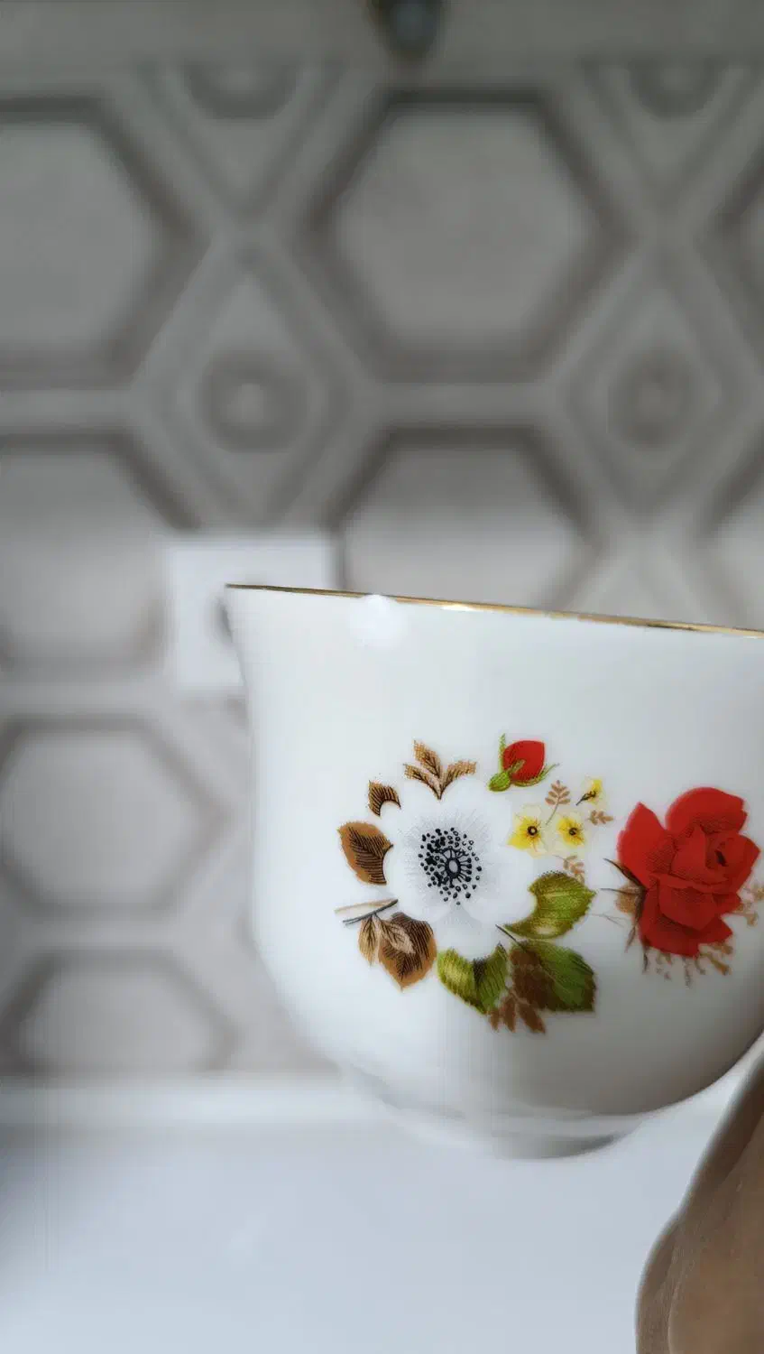 فنجان چینی|ظروف سرو و پذیرایی|شیراز, انجیر|دیوار