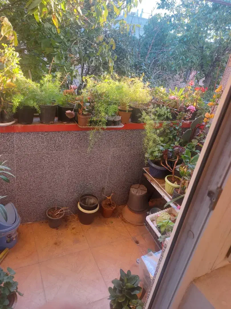 یک واحد آپارتمان متراژ ۱۲۳ متر ۲ نبش|فروش آپارتمان|اهر, |دیوار