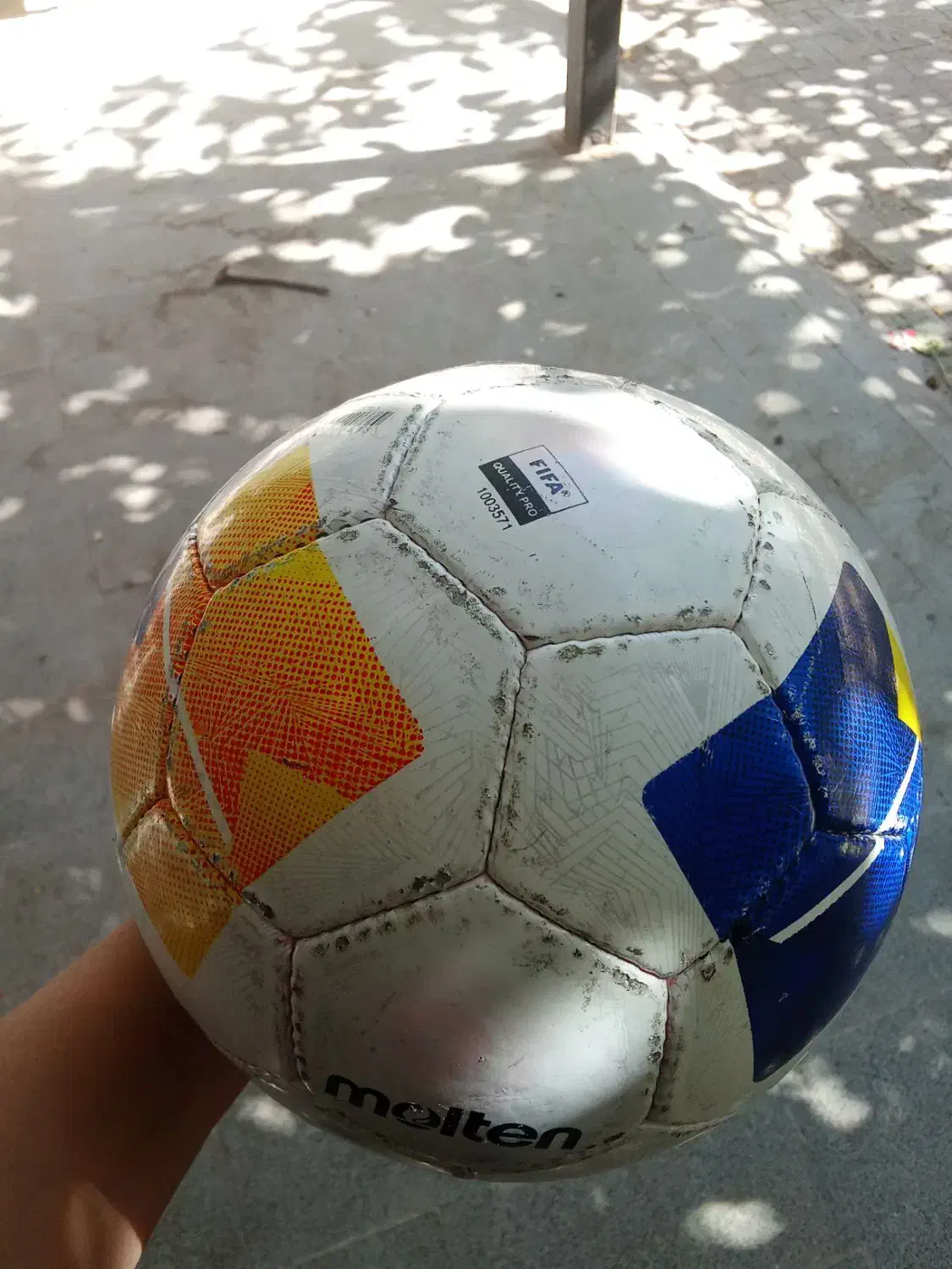 توپ چمن و سالن|ورزشهای توپی|تربت جام, حافظ|دیوار