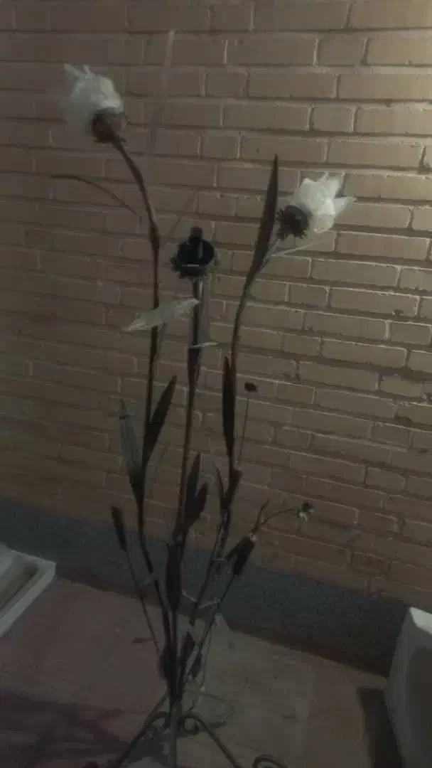 چراغ خواب -آباژور|چراغ خواب و آباژور|سمنان, |دیوار