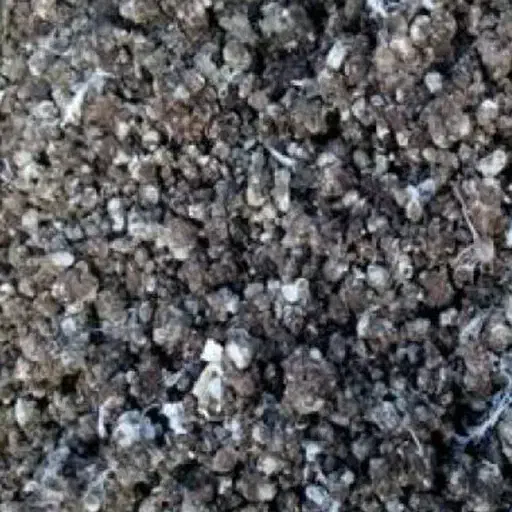 کودکبوتر|خدمات باغبانی و درختکاری|ملکان, |دیوار