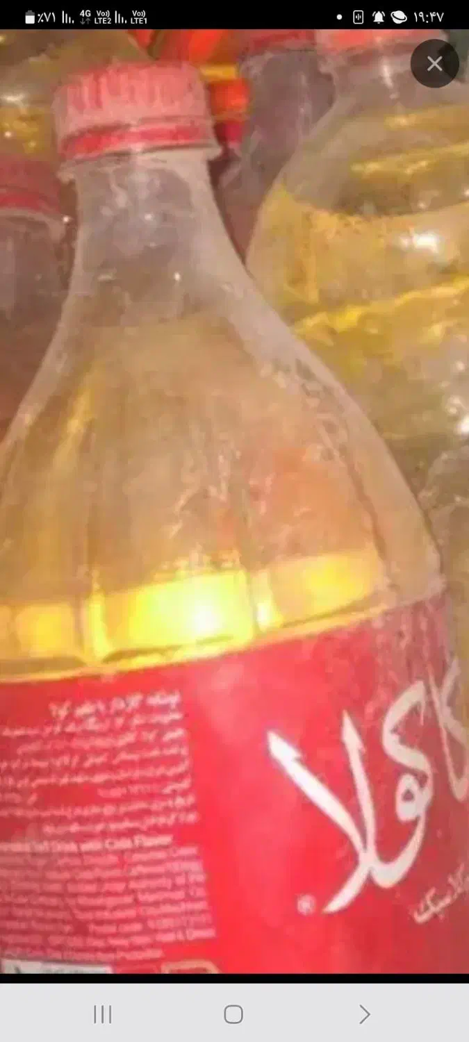 پلاستیک|ظروف نگهدارنده، پلاستیکی، یکبارمصرف|زابل, |دیوار