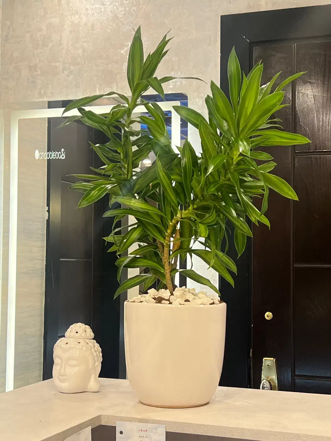 فروش خط 345|سیم‌کارت|سیرجان, |دیوار