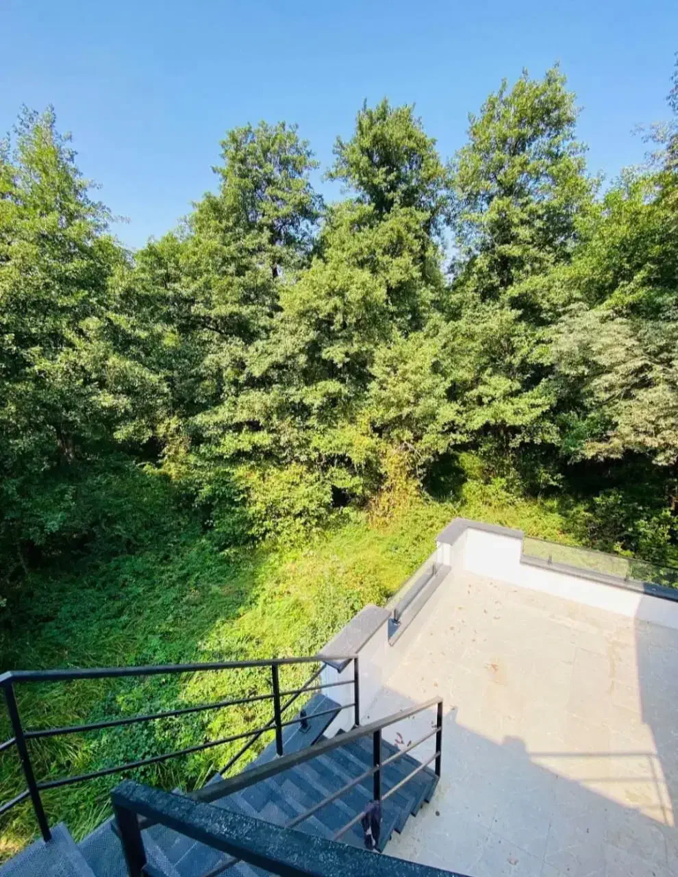 اجاره ویلا نوساز استخردار جنگلی پلاک اول جنگل|اجارهٔ کوتاه‌مدت ویلا و باغ|نور, |دیوار