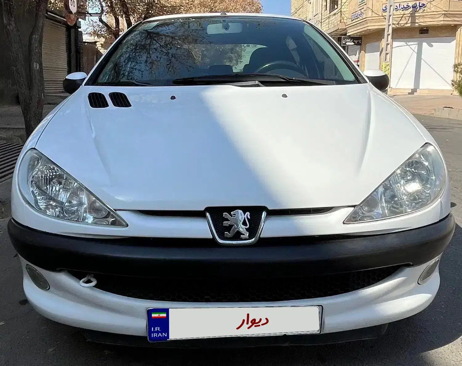 206 TU5|خودرو سواری و وانت|رفسنجان, |دیوار