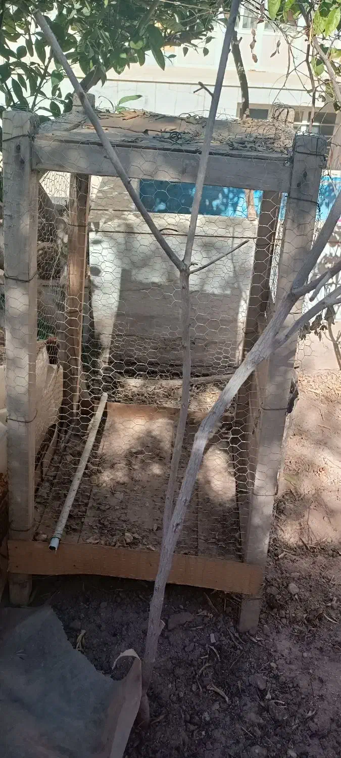 قفس|لوازم جانبی حیوانات|زارچ, |دیوار