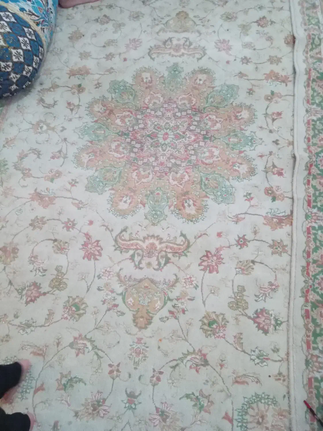 5000000|فرش|یزد, |دیوار