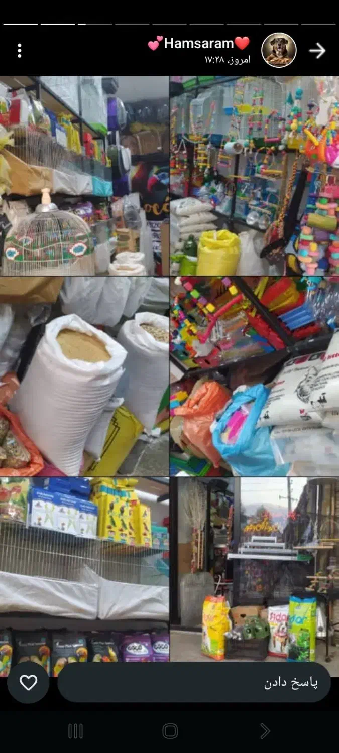 لوازم پرندگان|لوازم جانبی حیوانات|لاهیجان, کوی زمانی|دیوار