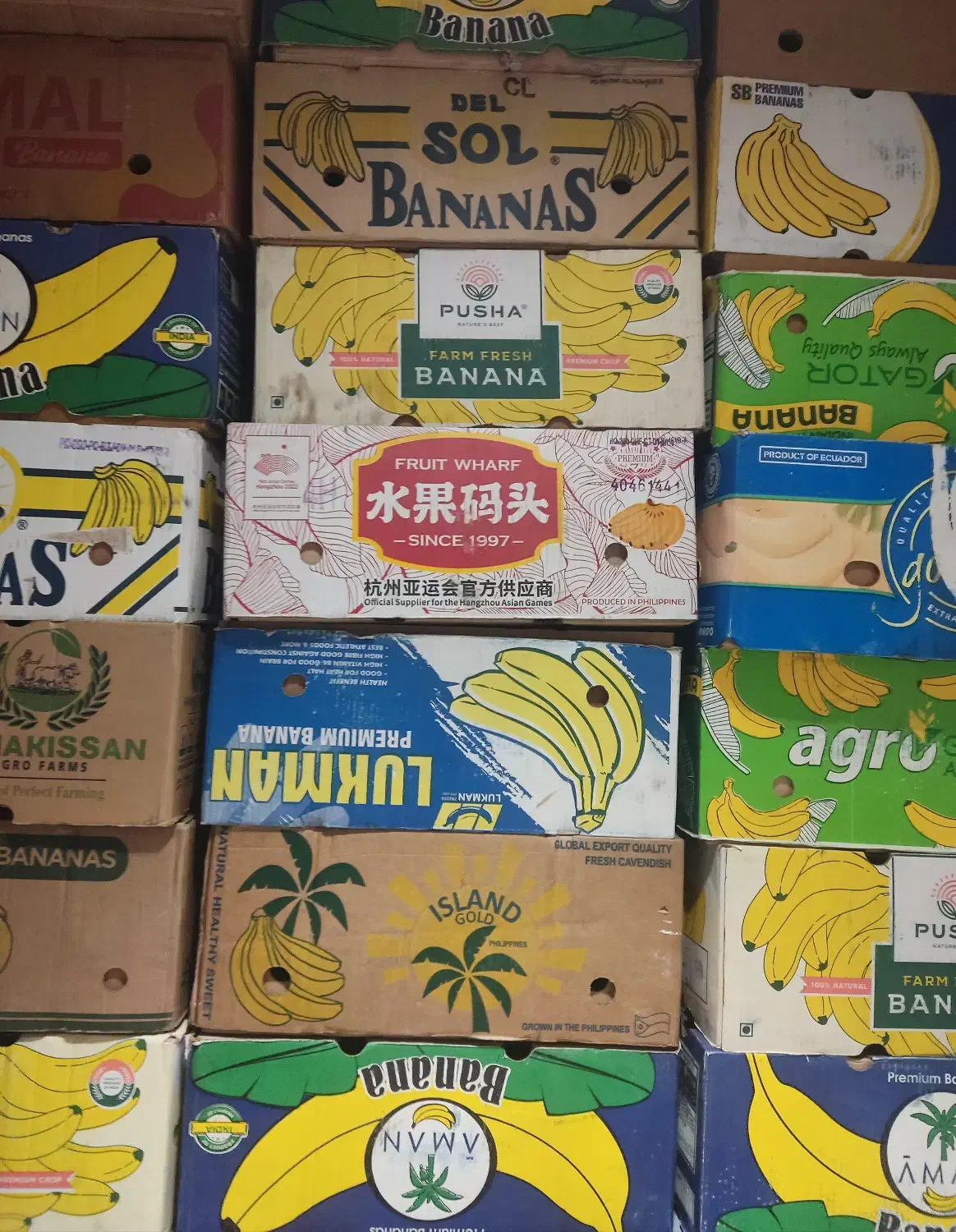 کارتن موز|عمده‌فروشی|بندرعباس, |دیوار