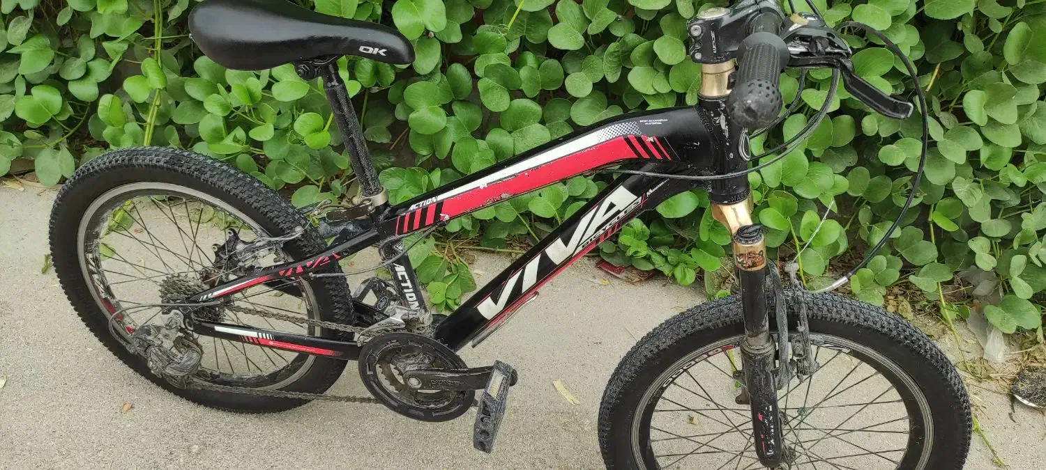 دوچرخه ویوا حرفه‌ای|دوچرخه، اسکیت، اسکوتر|خورموج, |دیوار