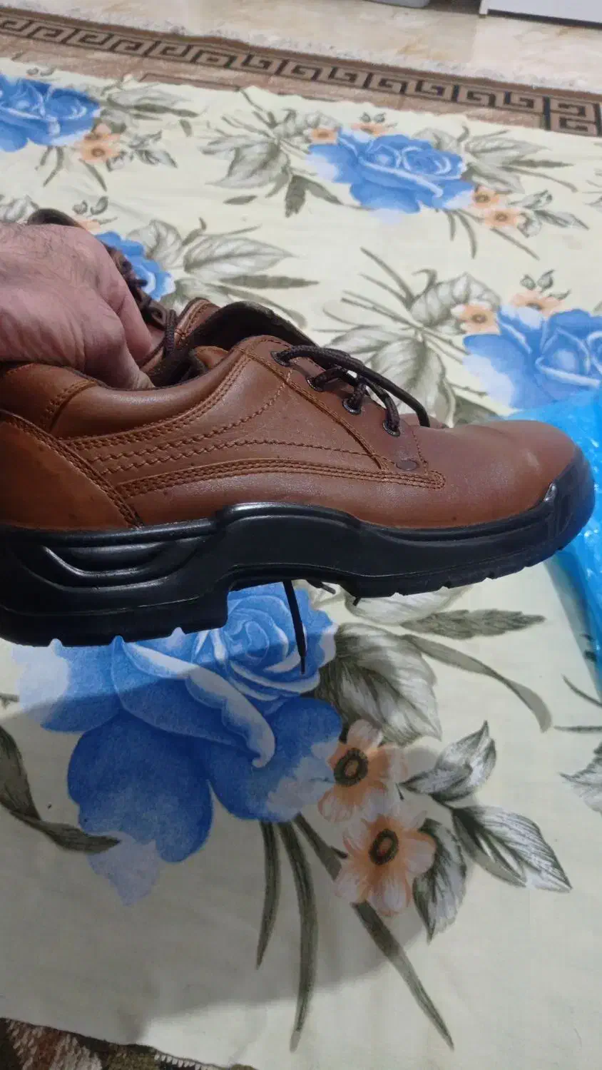 کفش ایمنی بهشتیان|کیف، کفش، کمربند|چالوس, |دیوار