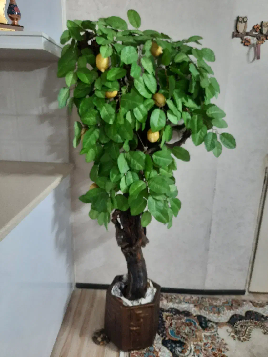 درخت لیمو|گل مصنوعی|تهران, تهرانسر غربی|دیوار