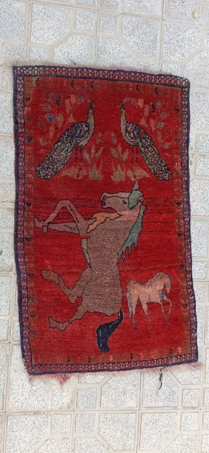 فرش دستبافت زرع و نیم|فرش|اصفهان, گورتان|دیوار