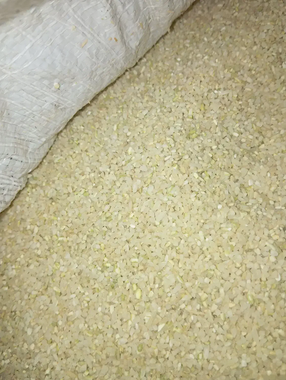 خوردهبرنجچمپای|خوردنی و آشامیدنی|کوه چنار, |دیوار