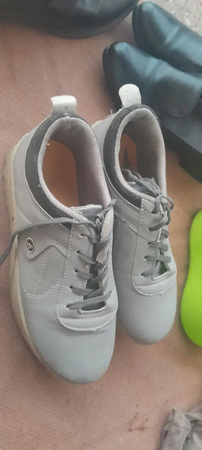 کفش زنانه|کیف، کفش، کمربند|یاسوج, |دیوار