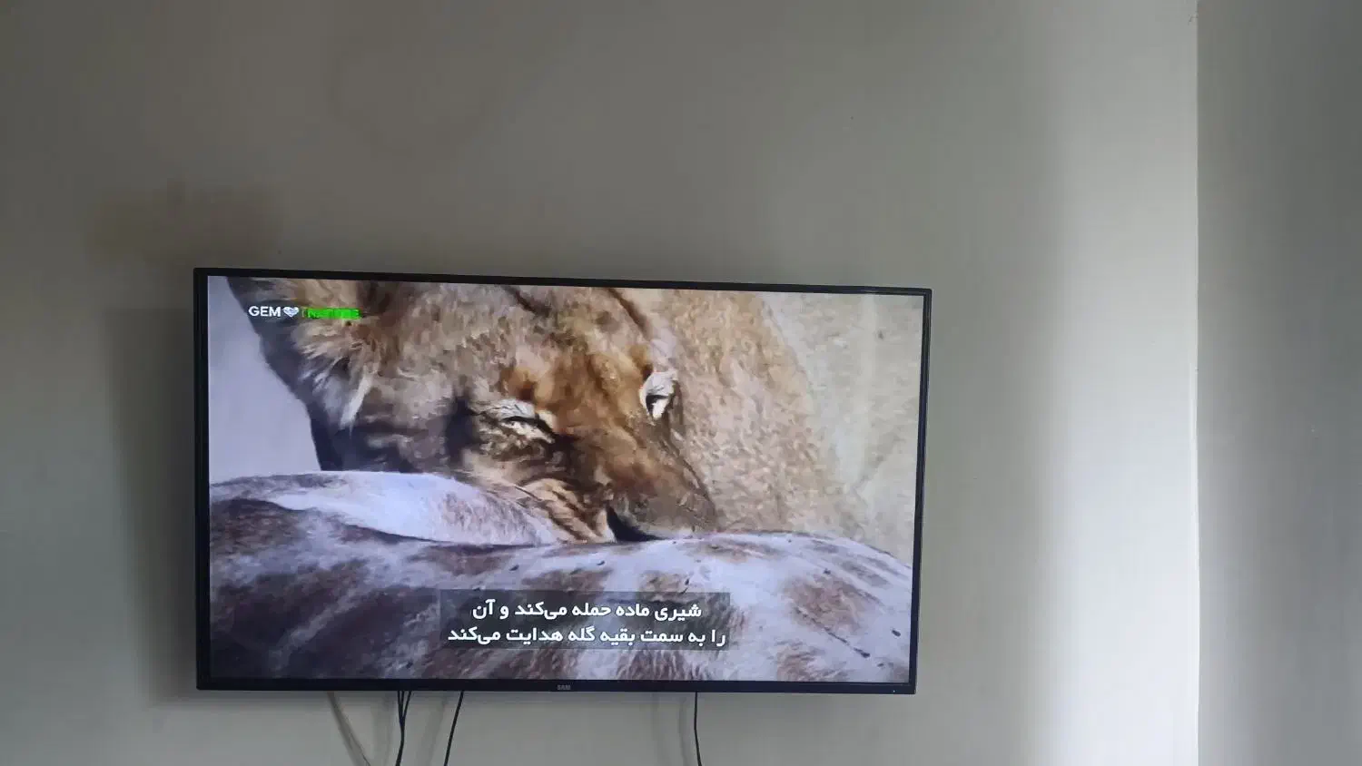 ال ای دی 48|تلویزیون و پروژکتور|رشت, لاکانی|دیوار