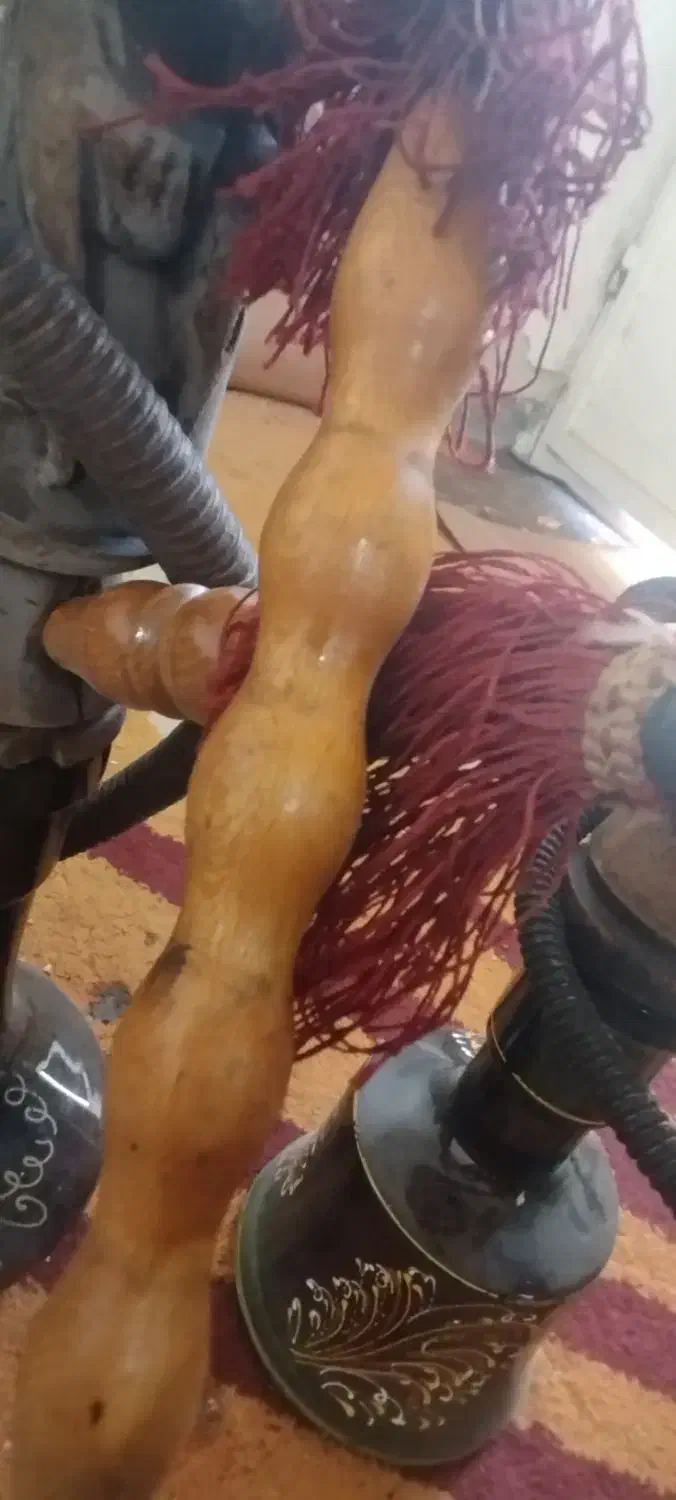 قلیان|کلکسیون و سرگرمی|شوشتر, |دیوار