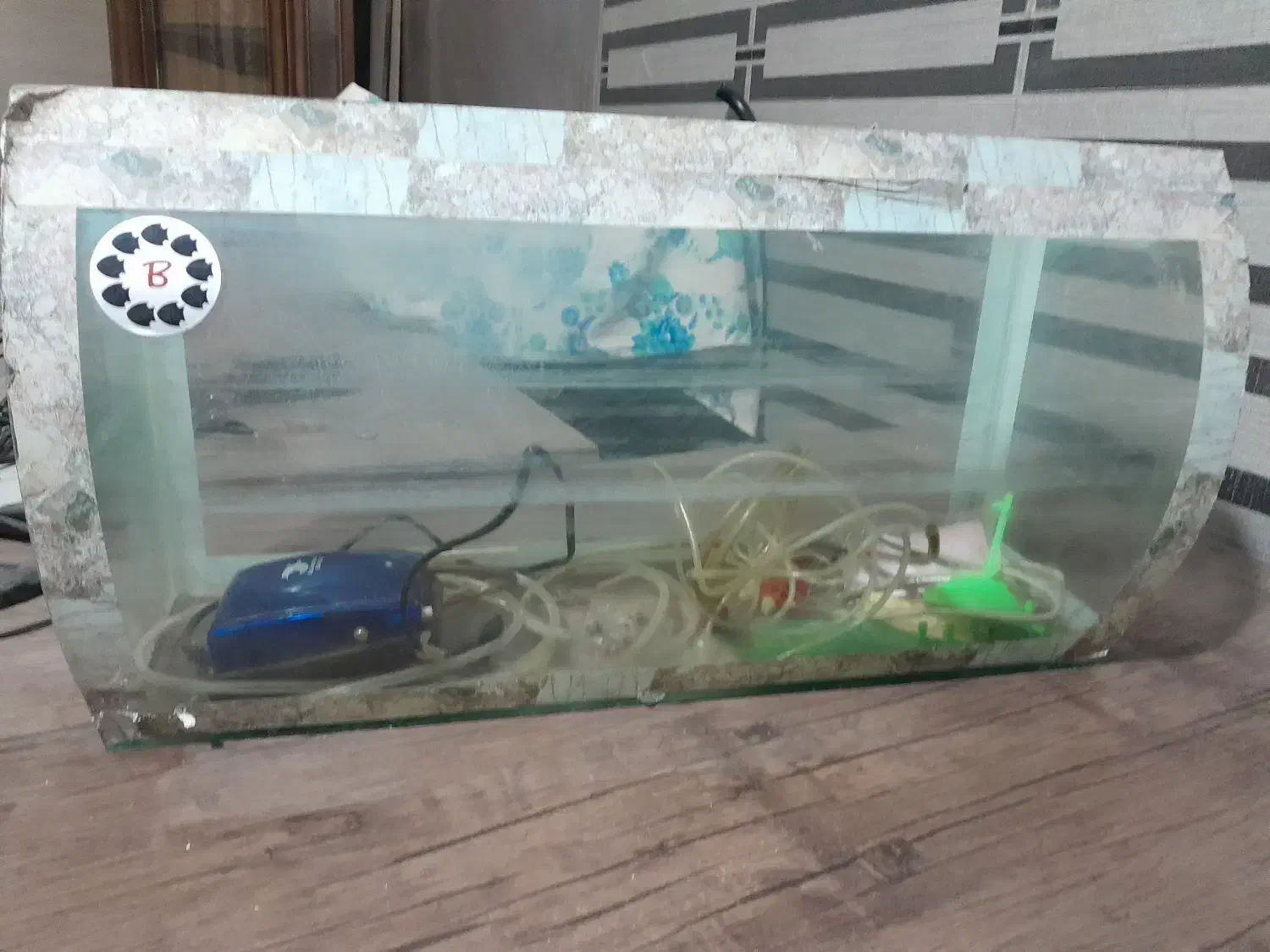 آکواریوم همراه با پمپ|ماهی|مشهد, کلاهدوز|دیوار