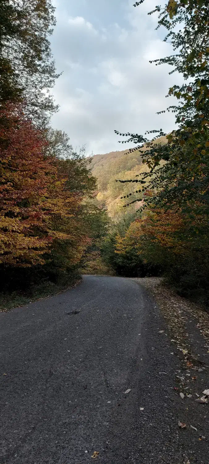 خانه دوبلکسی دوبر،پارکینگدار.کوچه ۸متری.دوخوابه|فروش خانه و ویلا|رشت, جانبازان|دیوار