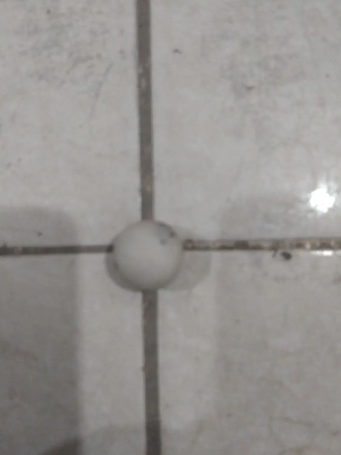 سنگ آسیاب|جواهرات|مشهد, شهید شهریاری|دیوار