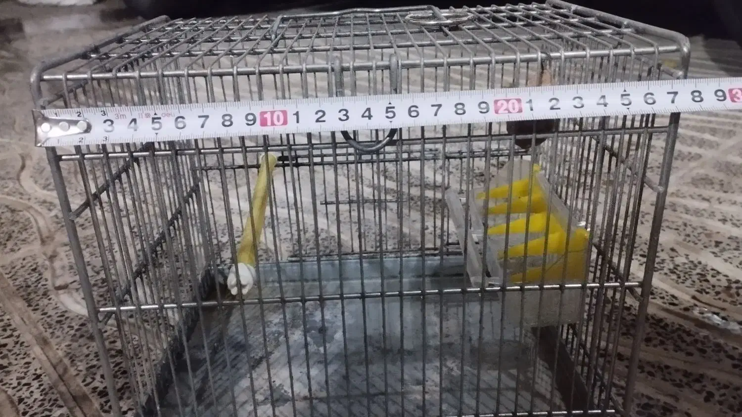 قفس سهره سره فضلی|لوازم جانبی حیوانات|ری, دولتآباد|دیوار