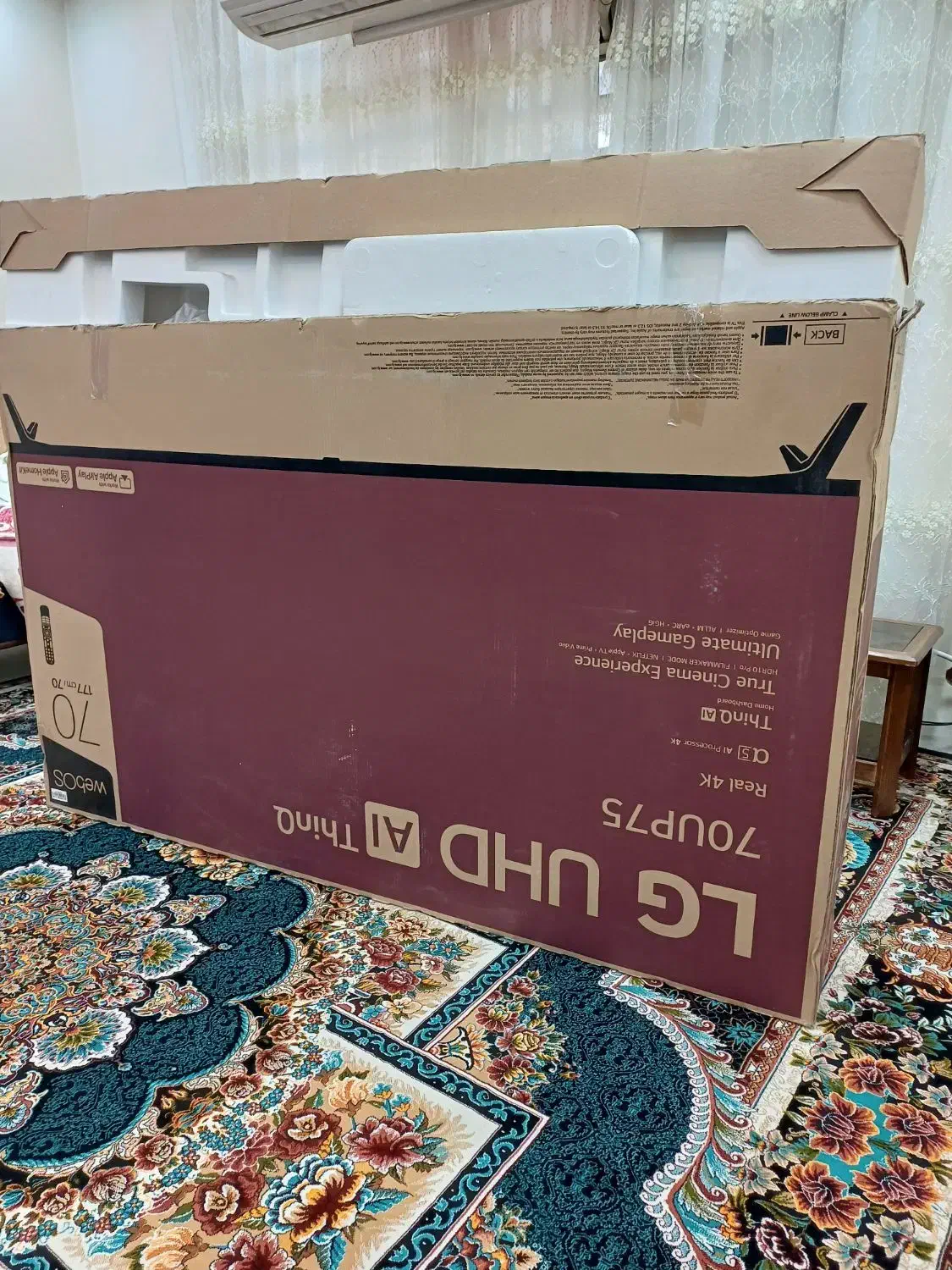 کارتون تلوزیون|تلویزیون و پروژکتور|اهواز, کوی باهنر|دیوار