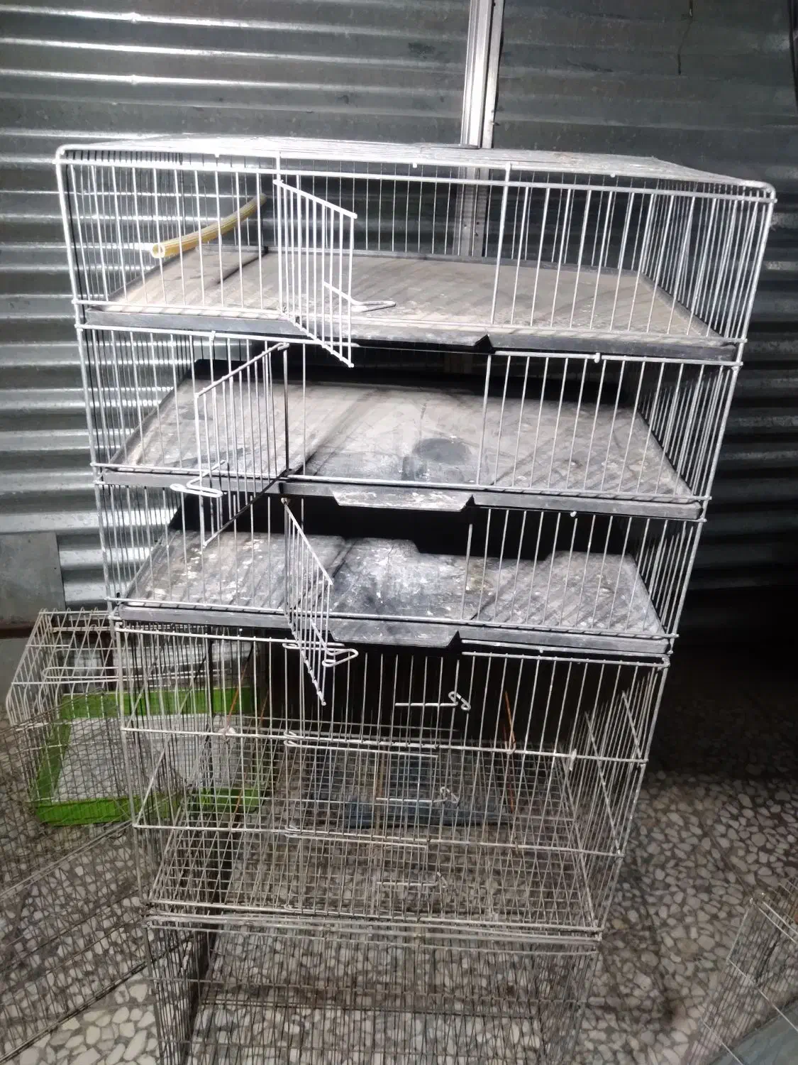 قفس|لوازم جانبی حیوانات|کرمان, |دیوار