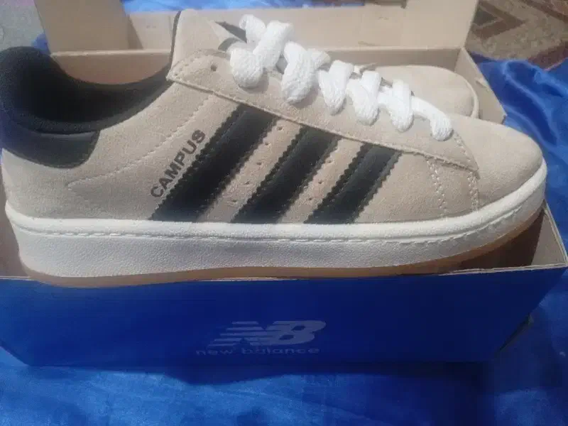 یک جفت کتونی آدیداس کامپوس|کیف، کفش، کمربند|حمیدیا, |دیوار