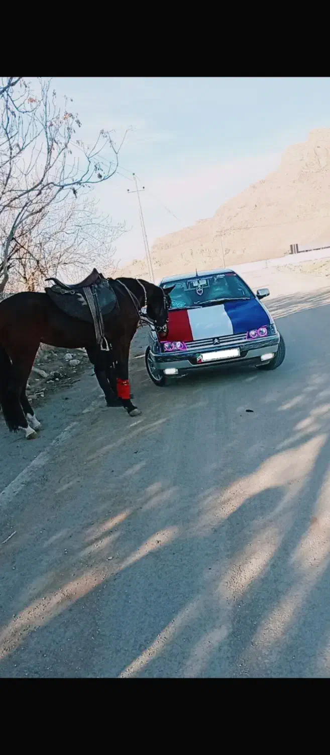 پژو 405 مدل 95 نازار|خودرو سواری و وانت|خرم‌آباد, |دیوار