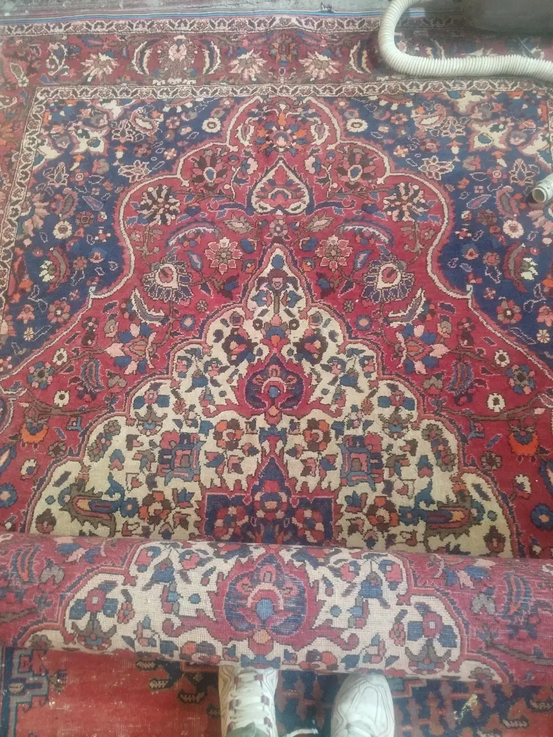 فرش|فرش|اصفهان, باب الدشت|دیوار