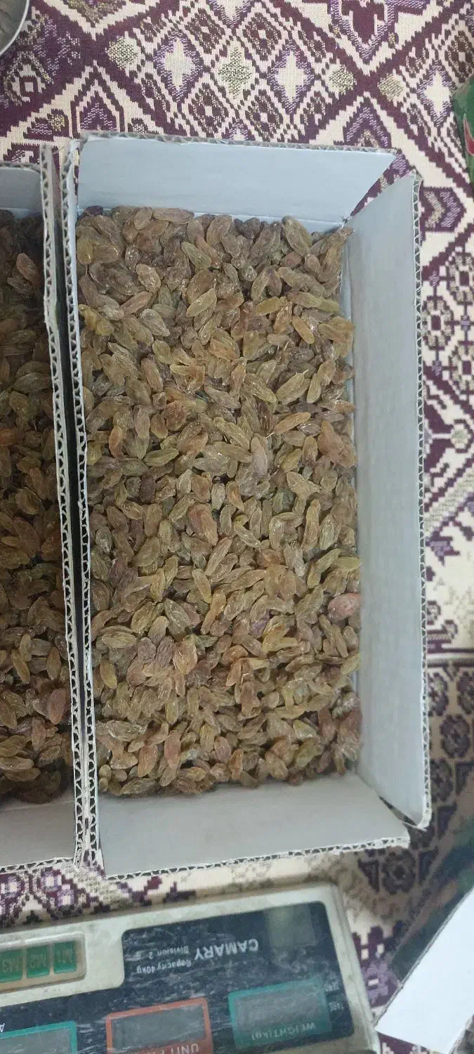 کشمش و شیره انگور ارگانیک|خوردنی و آشامیدنی|نیشابور, هفده شهریور|دیوار