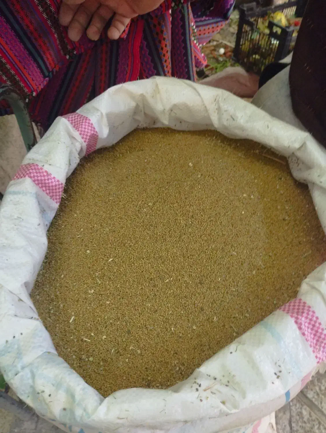 تخم یونجه درجه یک|حیوانات مزرعه|بروجرد, |دیوار