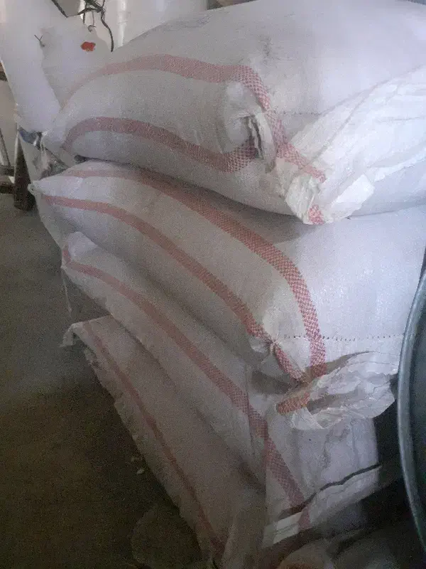 بذر گندم دیم|گل و گیاه طبیعی|زیویه, |دیوار