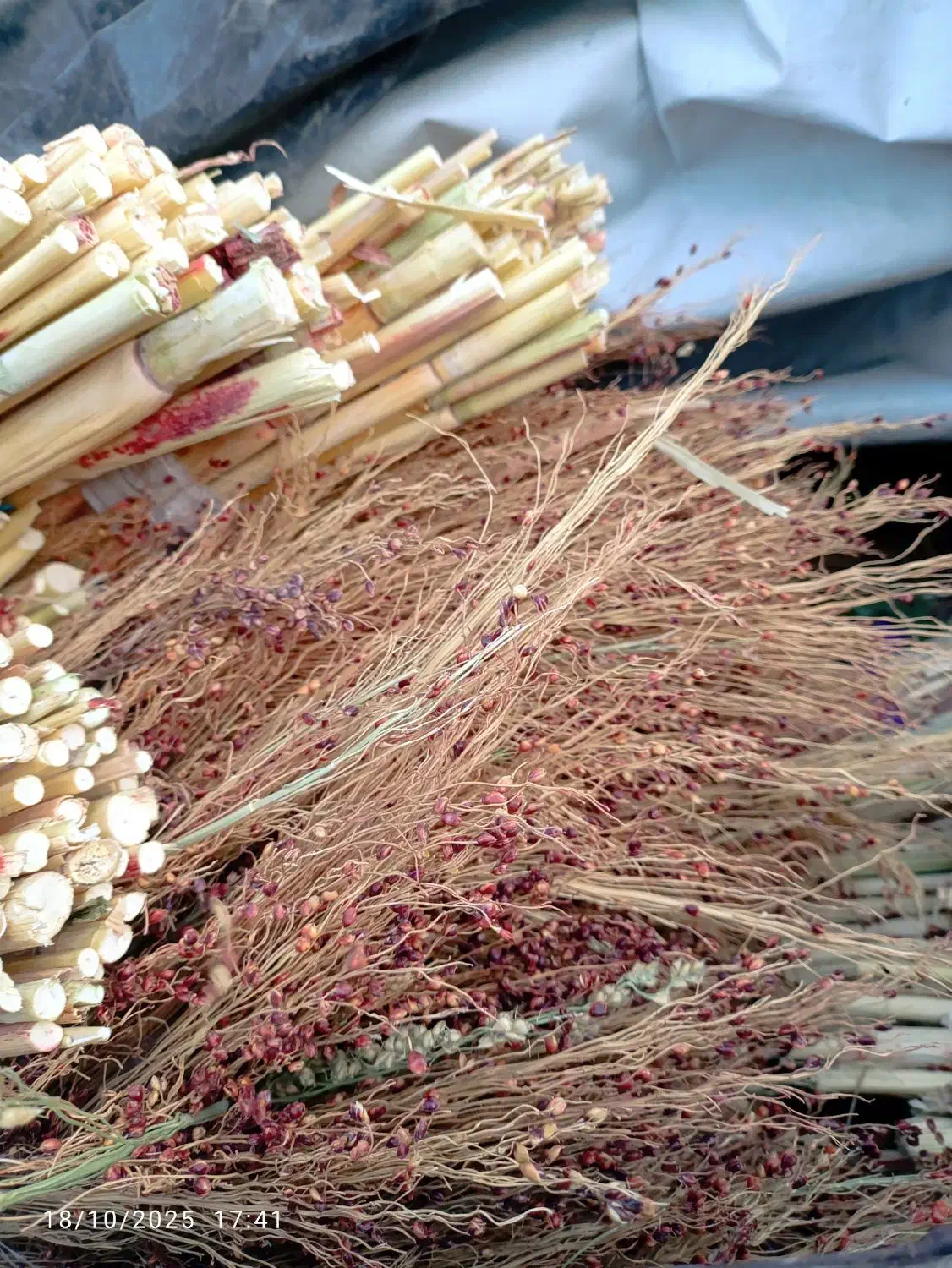 فروش جارو گال. عمده و خرده|لوازم نظافت|روانسر, |دیوار