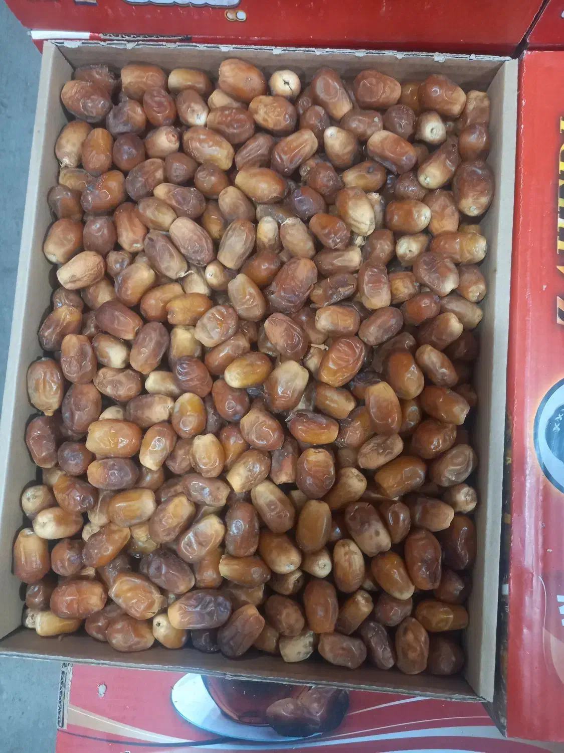 خرمای زاهدی|خوردنی و آشامیدنی|تهران, میدان میوه و تره‌بار مرکزی|دیوار