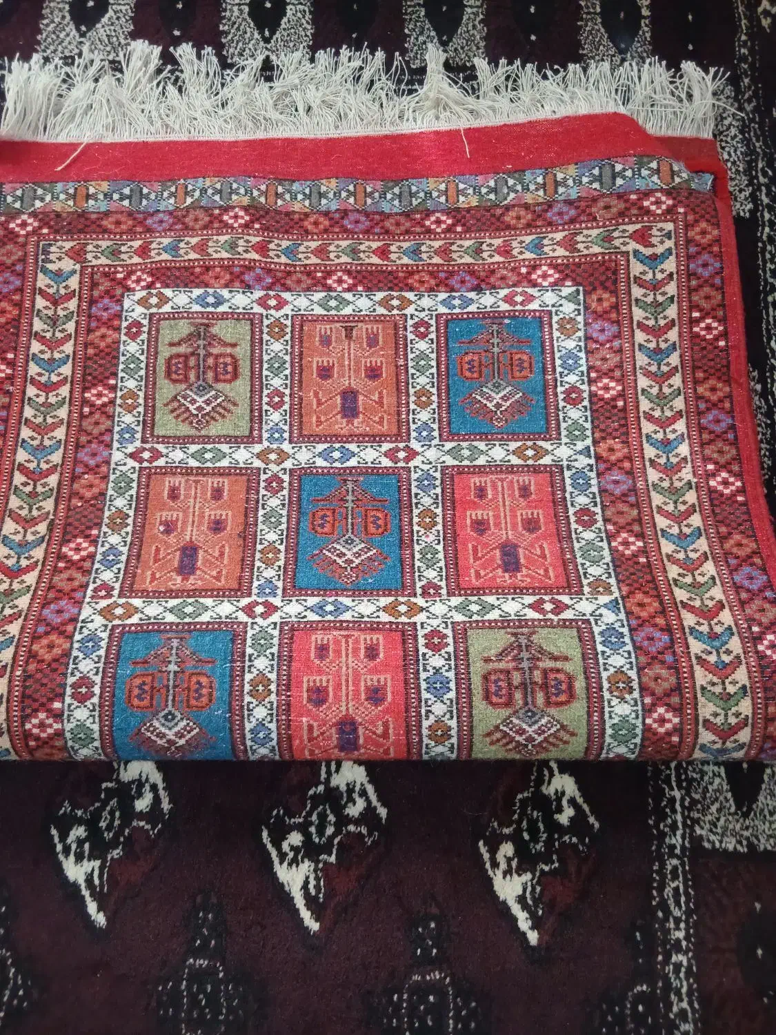 قالیچه تازه بافت|فرش|گنبد کاووس, |دیوار