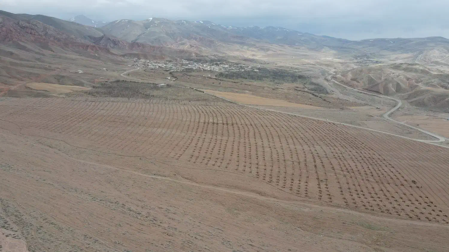 نیازمند بنا و سیمان کار|خدمات پیشه و مهارت|انگوران, |دیوار