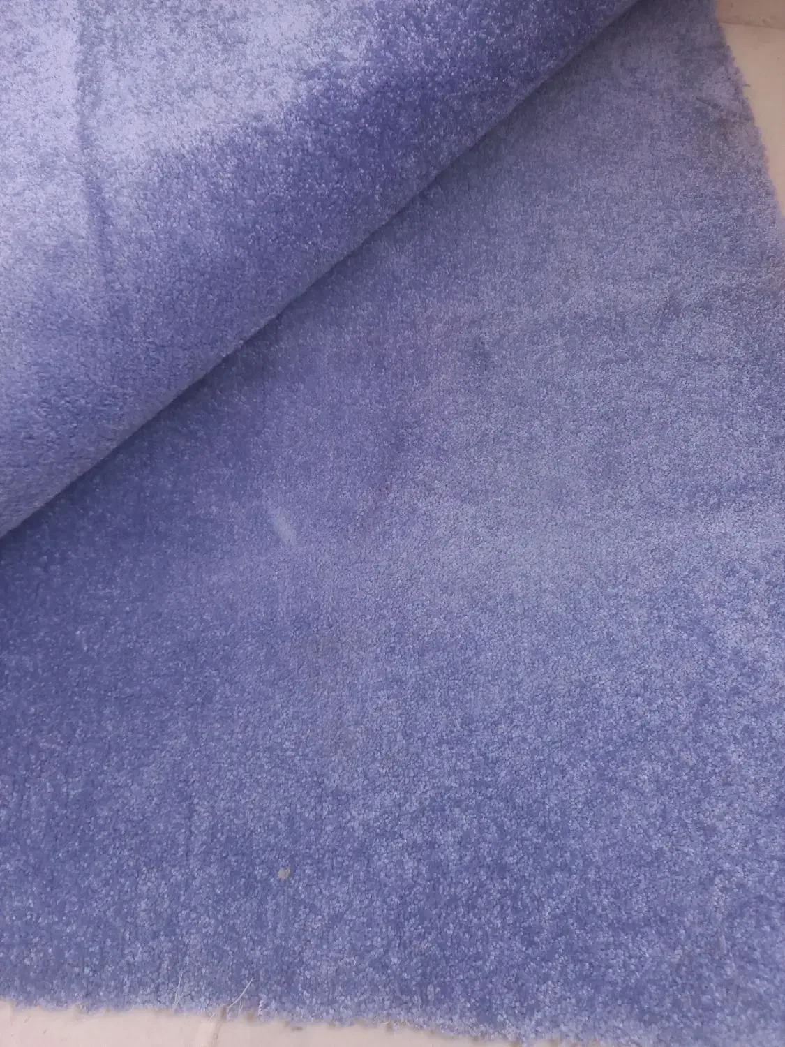 پالاز موکت|موکت|قزوین, |دیوار