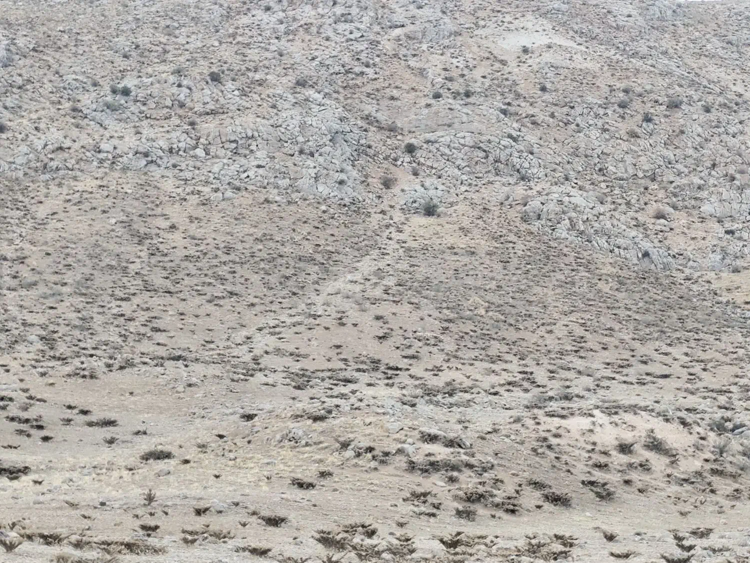 زمین مسکونی|فروش زمین و ملک کلنگی|لردگان, |دیوار