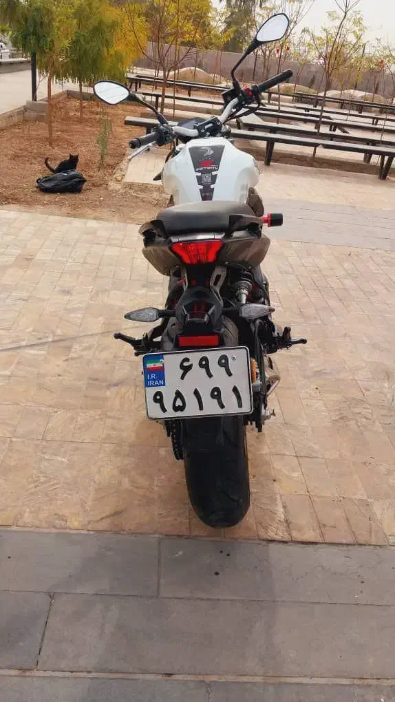 بنلی 300 مدل 1403|موتورسیکلت|شیراز, فرهنگ شهر|دیوار