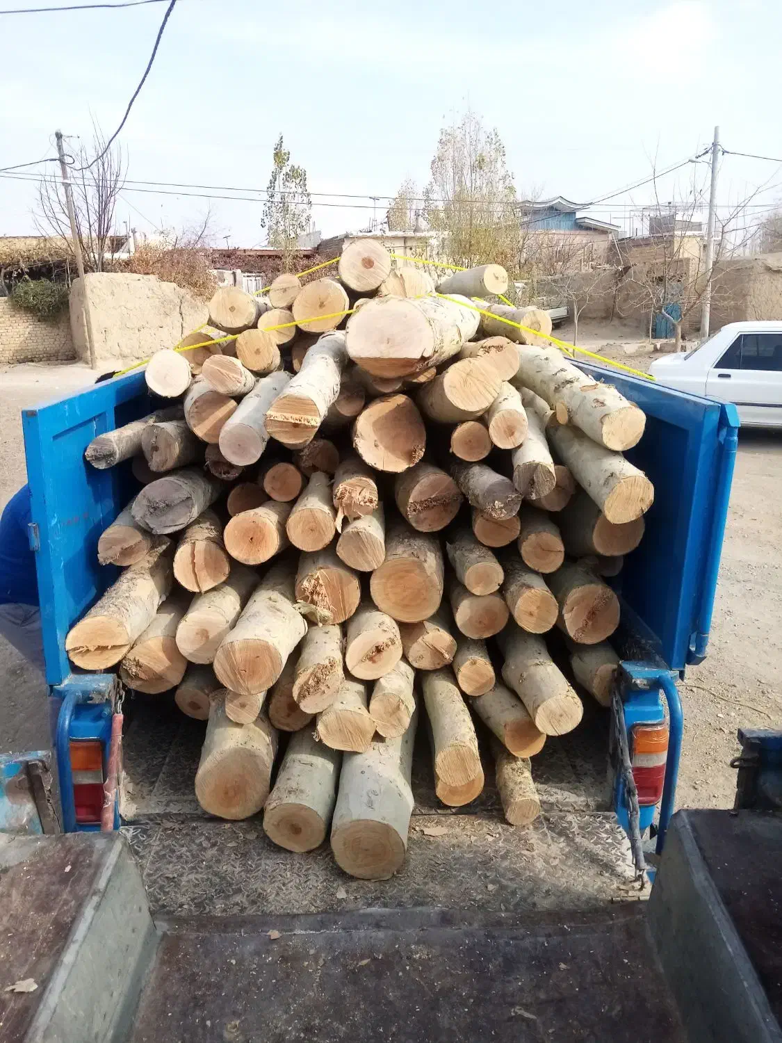 خرید چوب و درخت|خدمات باغبانی و درختکاری|نهاوند, |دیوار