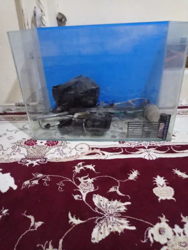 اکواریوم|ماهی|خرمآباد, |دیوار