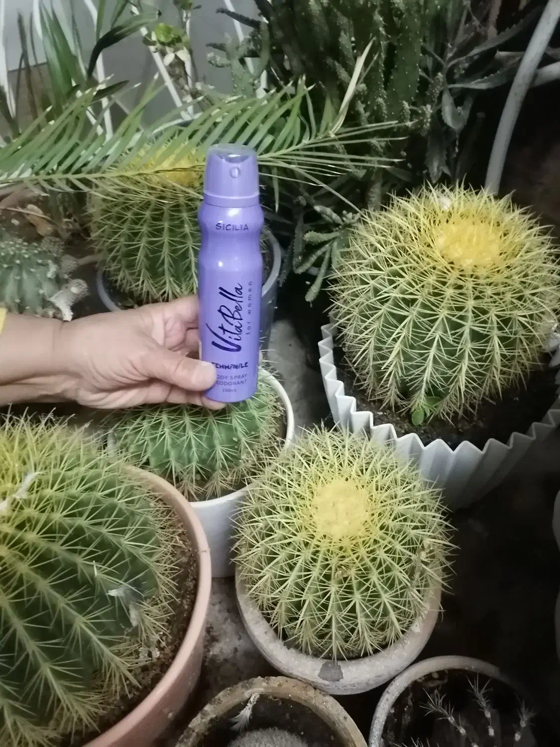 اسپری خوشبو کننده بدن|آرایشی، بهداشتی، درمانی|سبزوار, چهارراه فرودگاه|دیوار