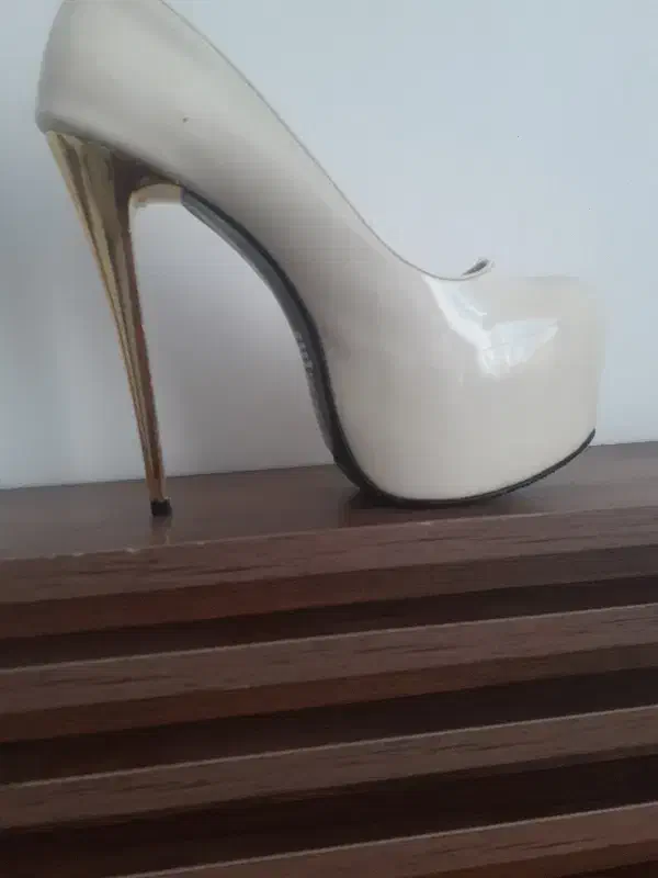 کفش مجلسی|کیف، کفش، کمربند|مشگین شهر, |دیوار