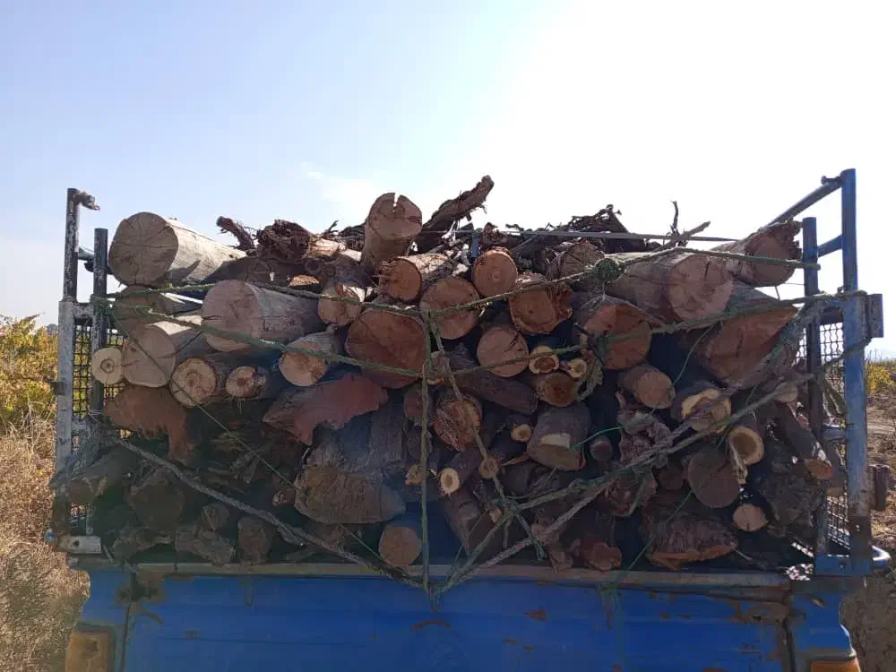 چوب و هیزم|مصالح و تجهیزات ساختمان|شیراز, شهرک بهشتی|دیوار