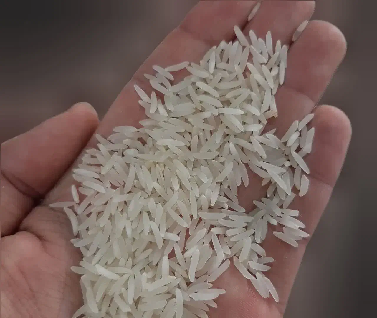 برنج فجر گرمه امسال درجه 1|خوردنی و آشامیدنی|گرگان, |دیوار