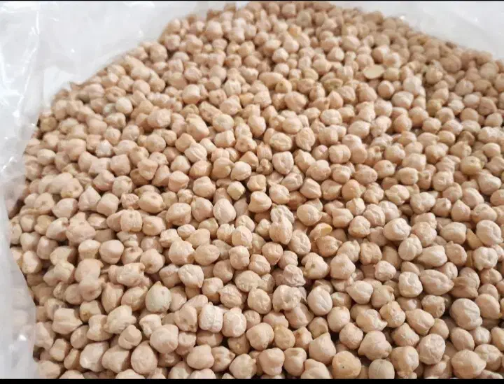 نخود فلافل کیفیت عالی|خوردنی و آشامیدنی|ری, فیروزآبادی|دیوار