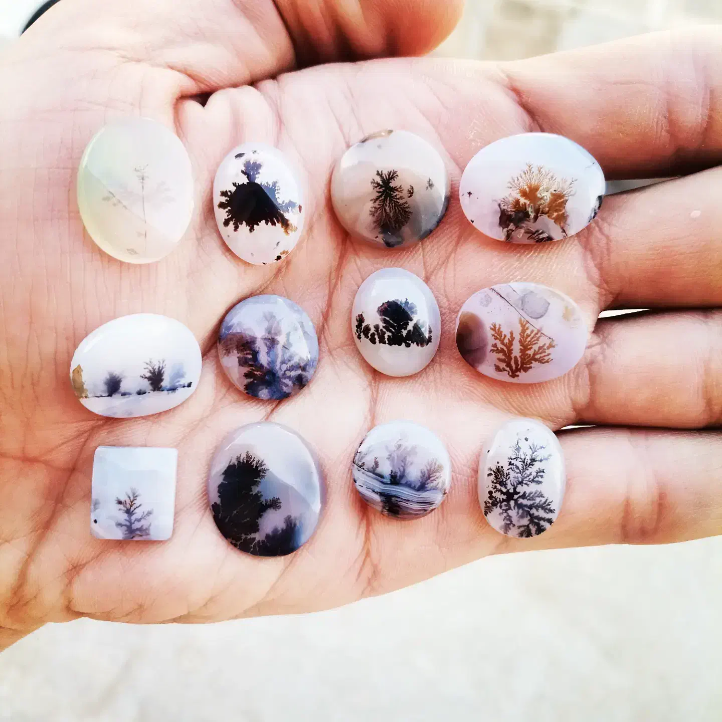 تعداد 60 عدد سنگ شجر|بدلیجات|تهران, هفت حوض|دیوار