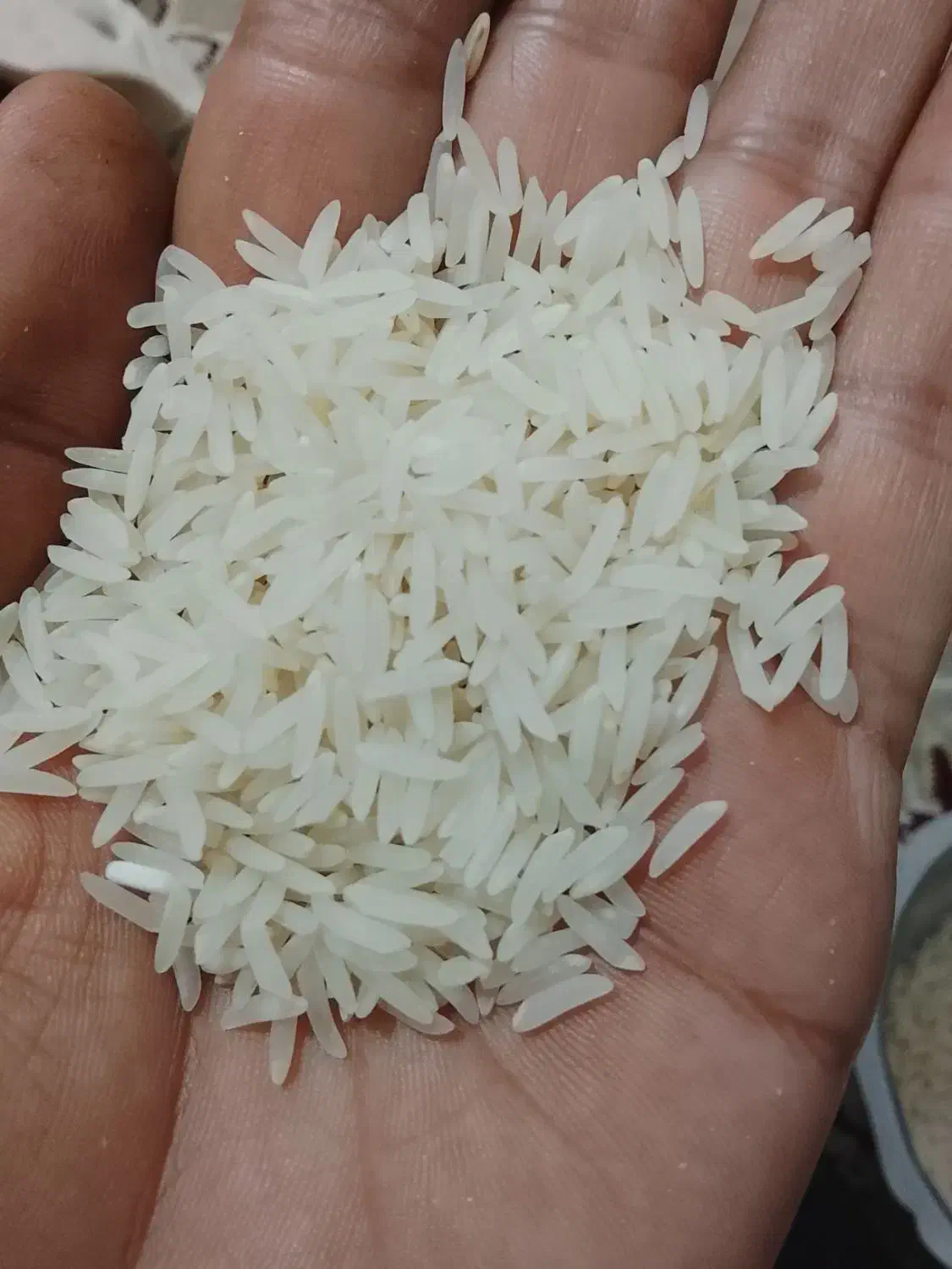 برنج فجر|خوردنی و آشامیدنی|گرگان, |دیوار